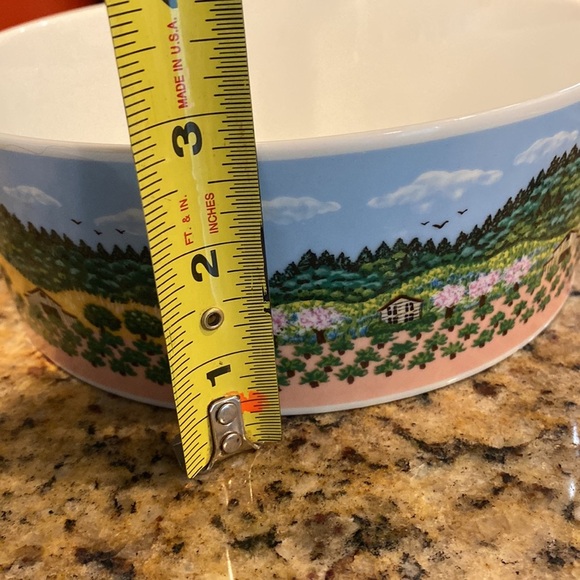 Napa Valley Sara Barnes Block Spal - Serving Bowl Four Seasons vintage 1983 - Picture 10 of 11